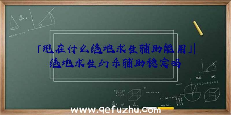 「现在什么绝地求生辅助能用」|绝地求生幻杀辅助稳定吗